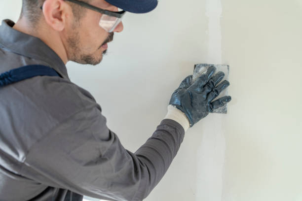 Best Environmental Consulting for Mold Prevention  in Lafayette, CO