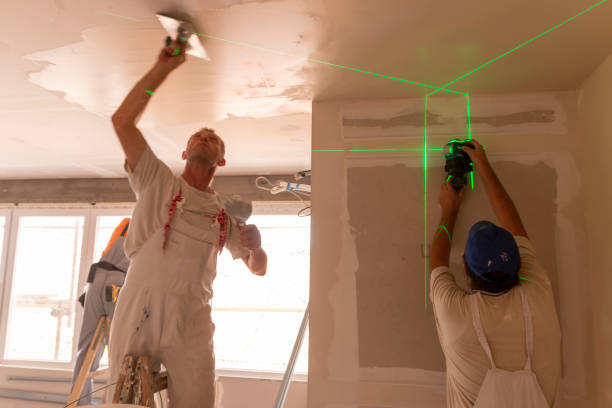 Best Residential Mold Inspection & Testing  in Lafayette, CO